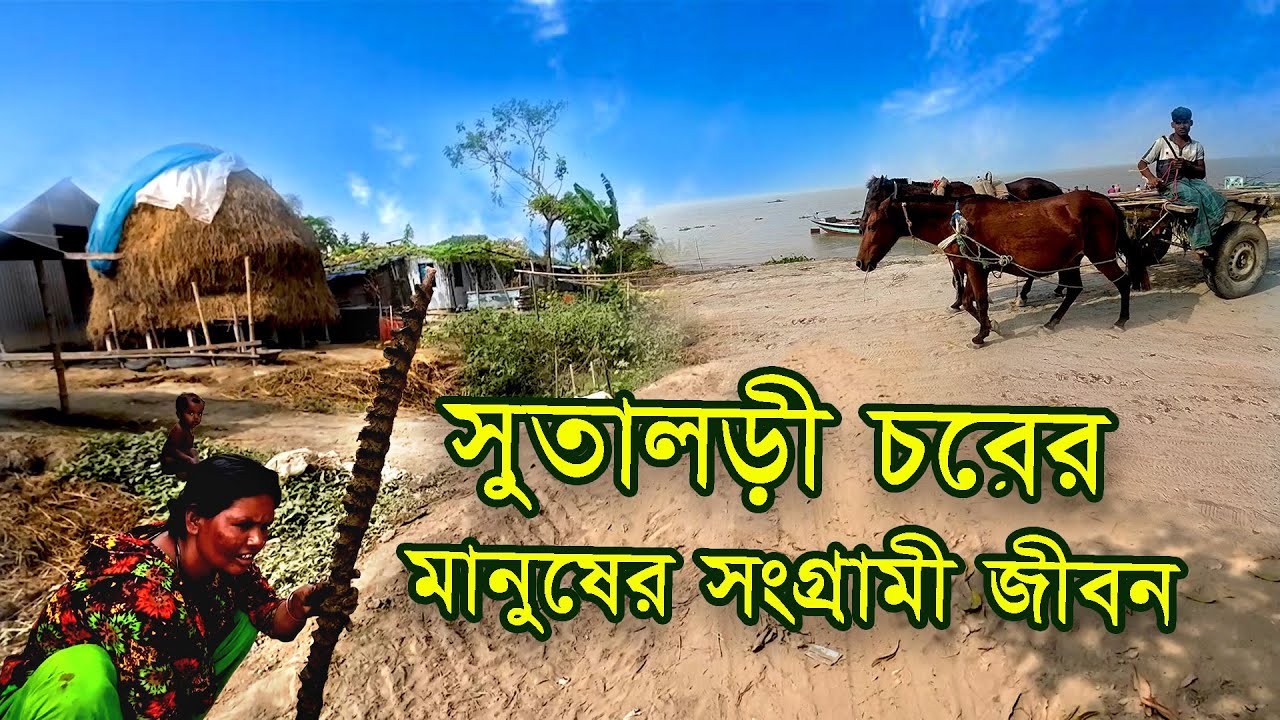 সুতালড়ি চরের মানুষের সংগ্রামী জীবন || Struggle life || Horirampur || MLTN (Milton)