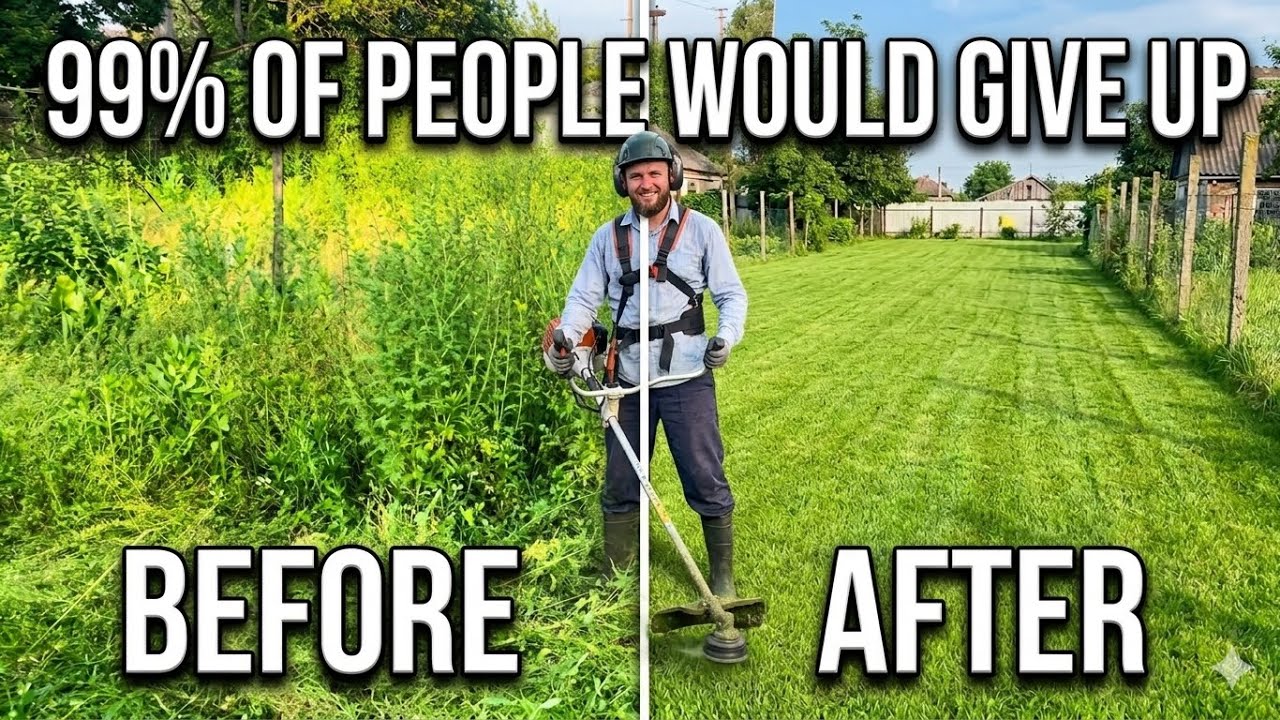 I didn't expect such thickets but Stihl did it.