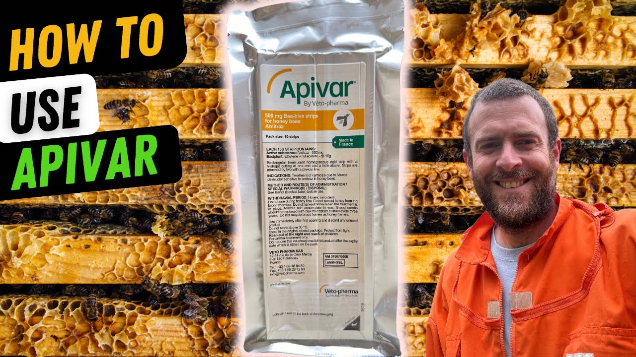 How to use Apivar To Treat Your Bees For Varroa Mites. Beefarmer's Favourite Treatment!