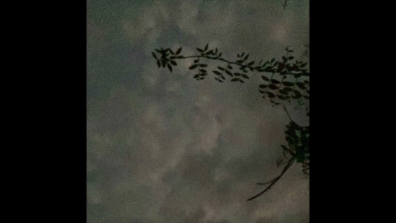 (free) sad indie type beat echo
