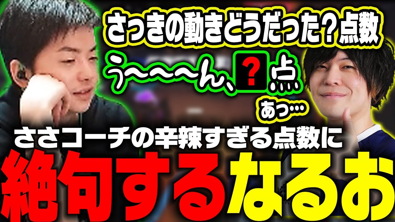 【ささ】OWのコーチング中に出た辛辣すぎる評価でなるおを絶句させるささ【OW2】