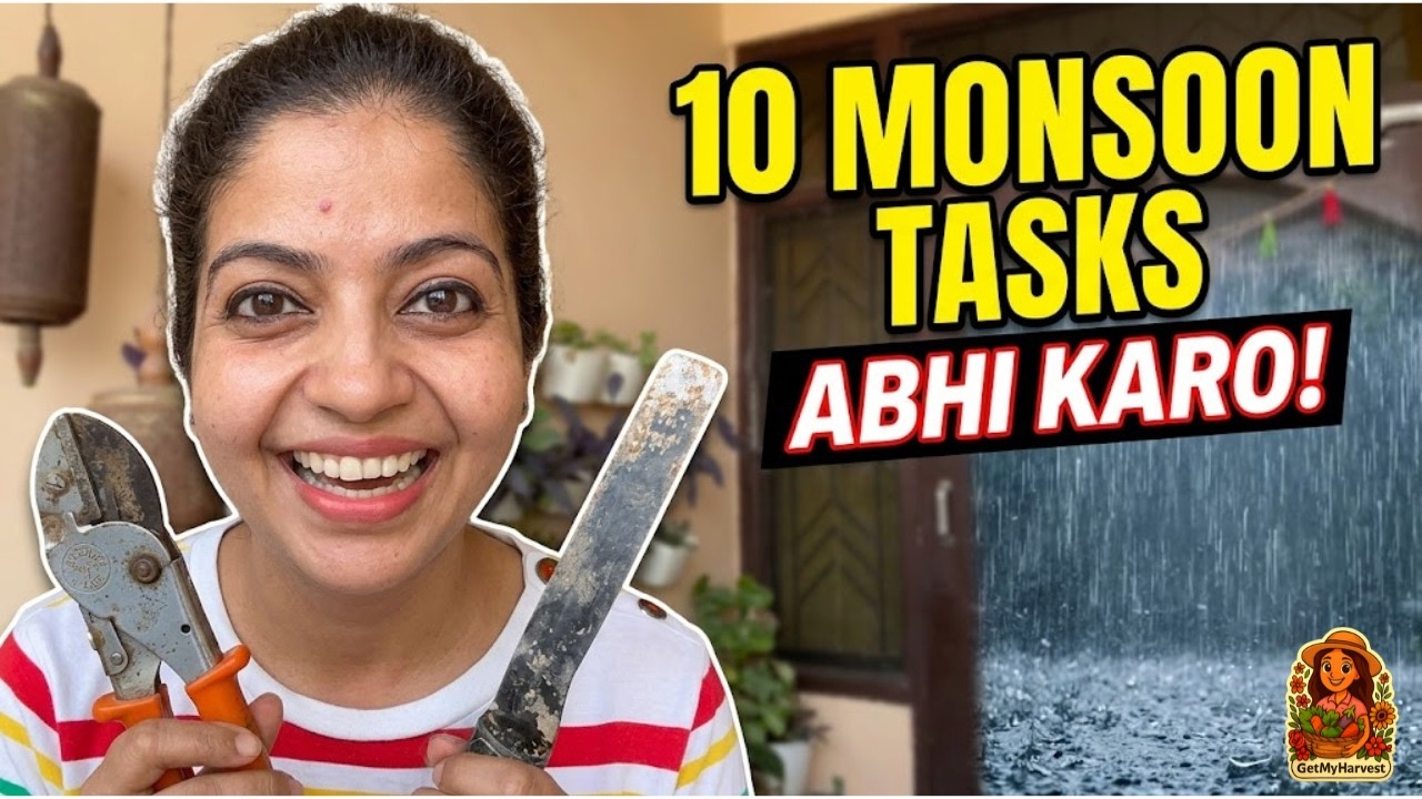 🌧️ Don&rsquo;t Wait for Rain! 10 Critical Monsoon Prep Tasks
