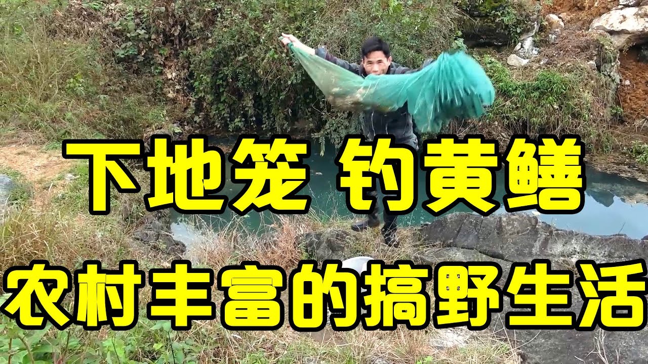 广西农村搞野生活，下地笼，钓黄鳝，看到渔获爽歪歪【壮乡小莫】