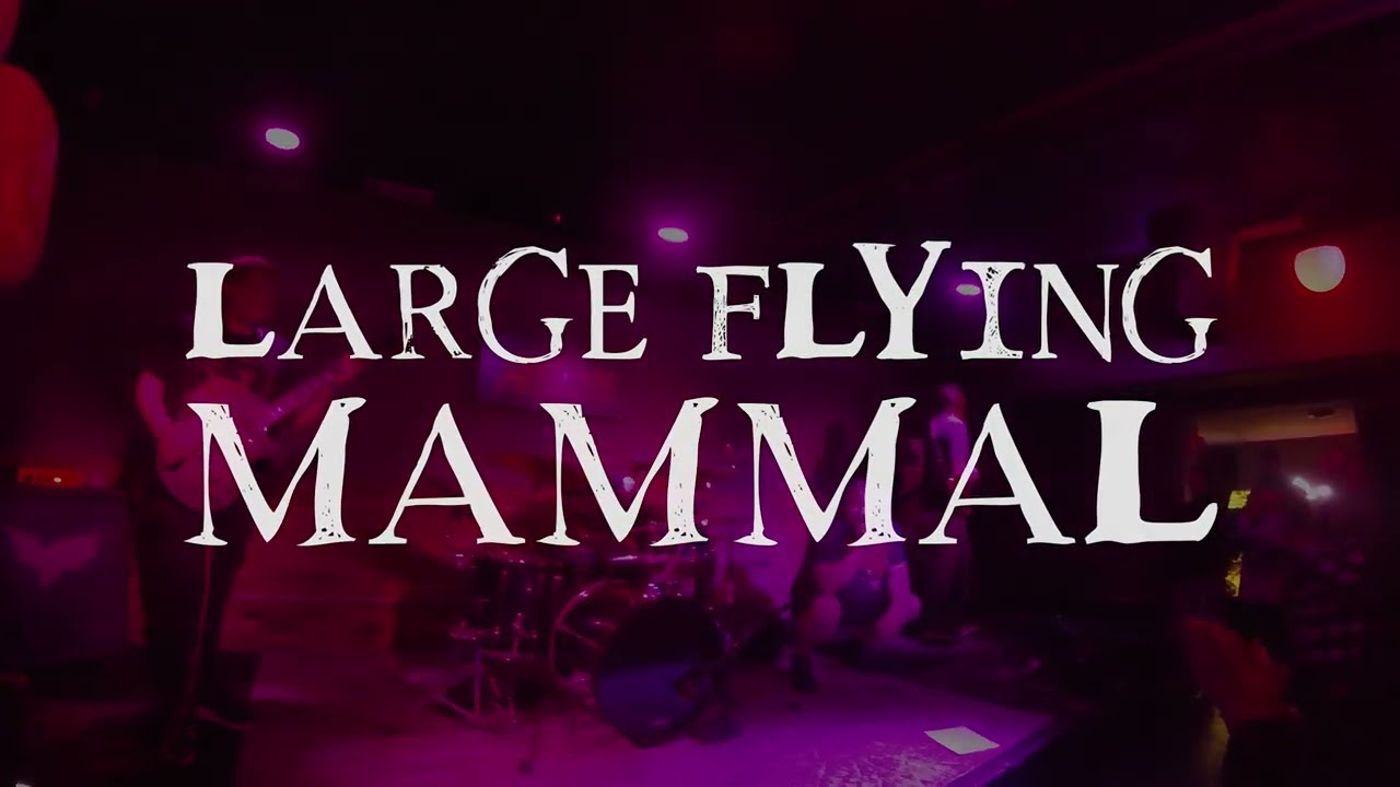 Large Flying Mammal - Hurricane Live [Al's Bar | Lexington KY | 1-17-26]