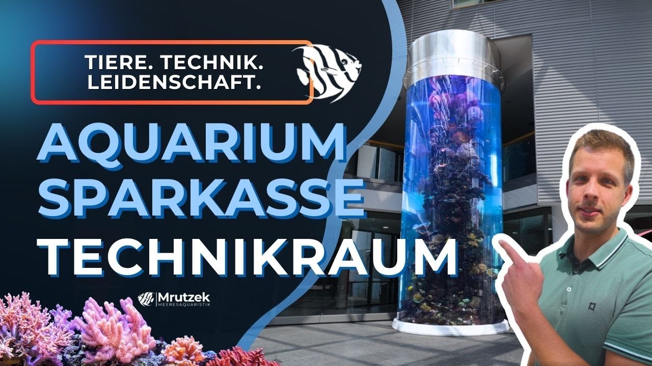 32.000 Liter Aquarium – Der Technikraum eines Großaquariums! (Teil 2)