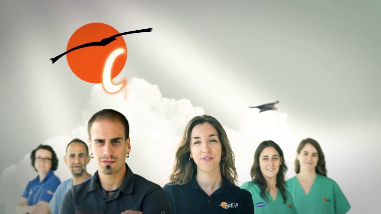Compromiso12Meses | GREFA Equipo de Rescate