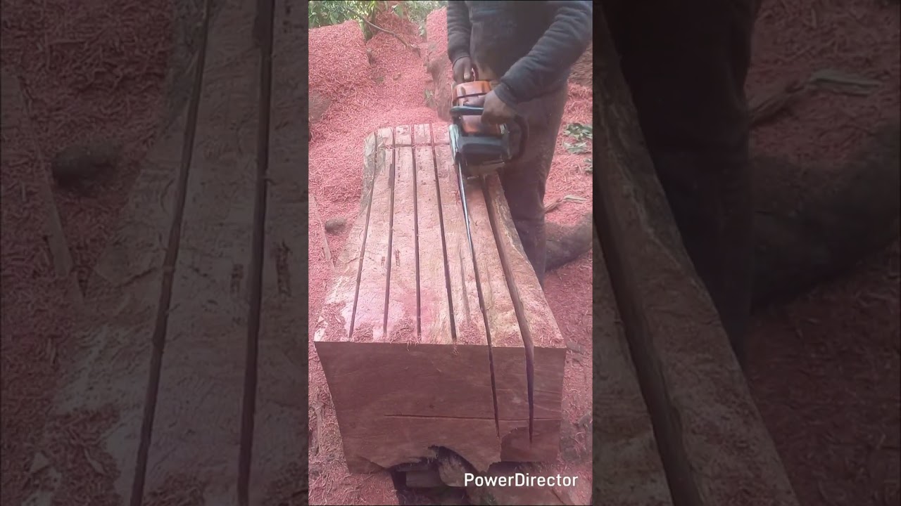 Woodcraft chainsaw 