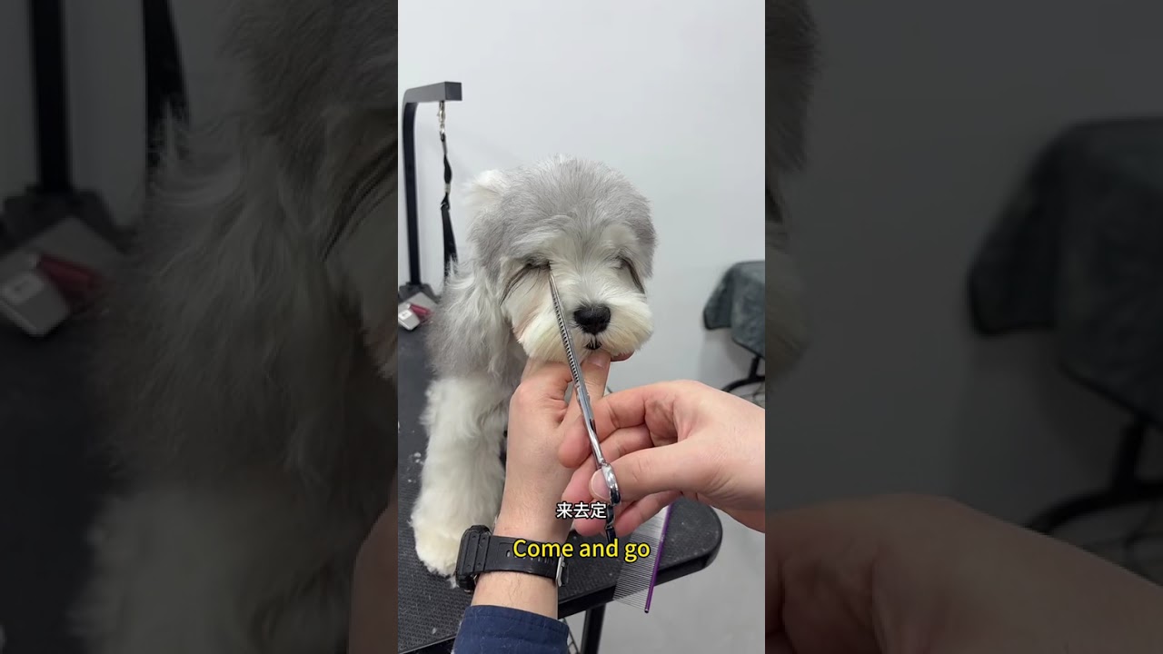 Master's Request? No Fear, Perfect Execution Guaranteed