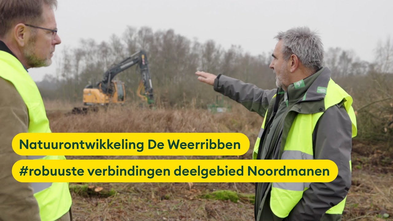 Natuurontwikkeling De Weerribben #robuuste verbindingen deelgebied Noordmanen