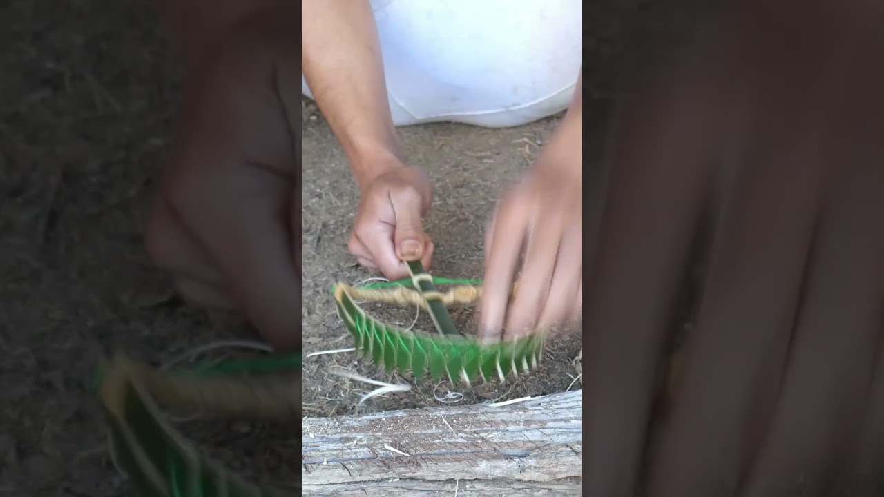 amazing bamboo teeth trap for rat