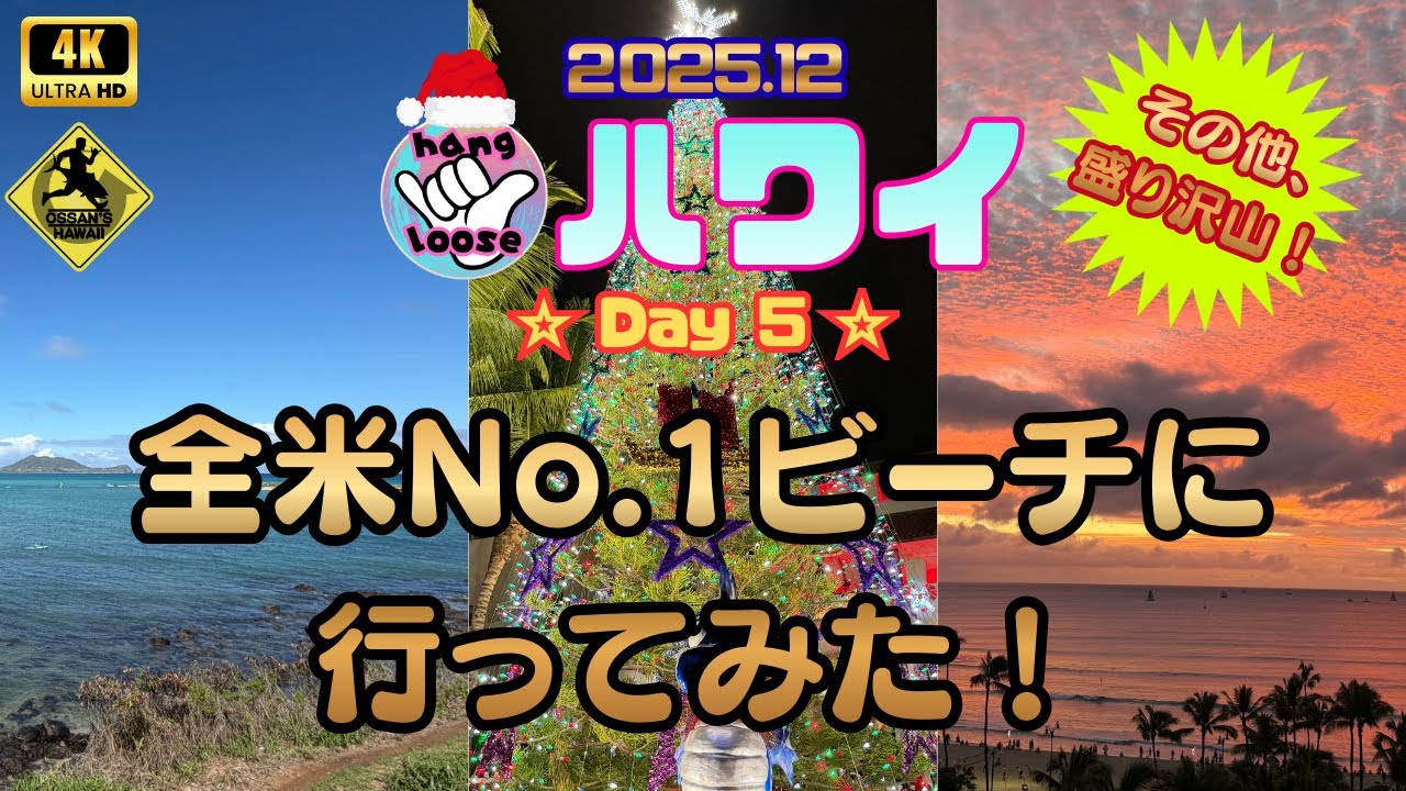 【DEC.2025 Day5】☆全米No.1ビーチに行ってみた！☆ホノルル・シティ・ライツの様子☆その他色々盛りだくさんです。《ハワイ食べ歩き》《ハワイVlog》