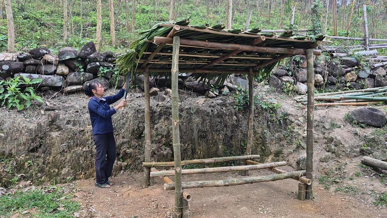The girl lived in an abandoned house, making a shack to store firewood.