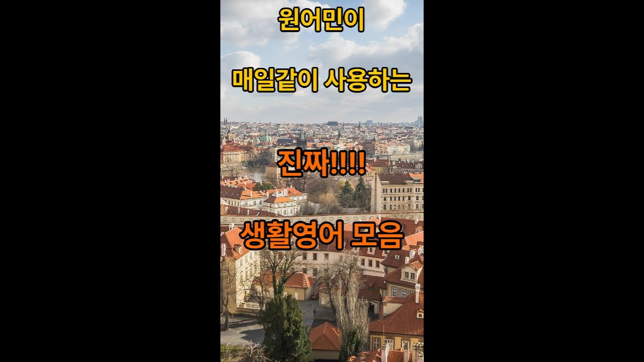 원어민이 매일같이 사용하는600가지 일상생활표현 모음.매일 추가 업데이트 한글 발음표기. #생활영어 #영어회화 #시니어영어