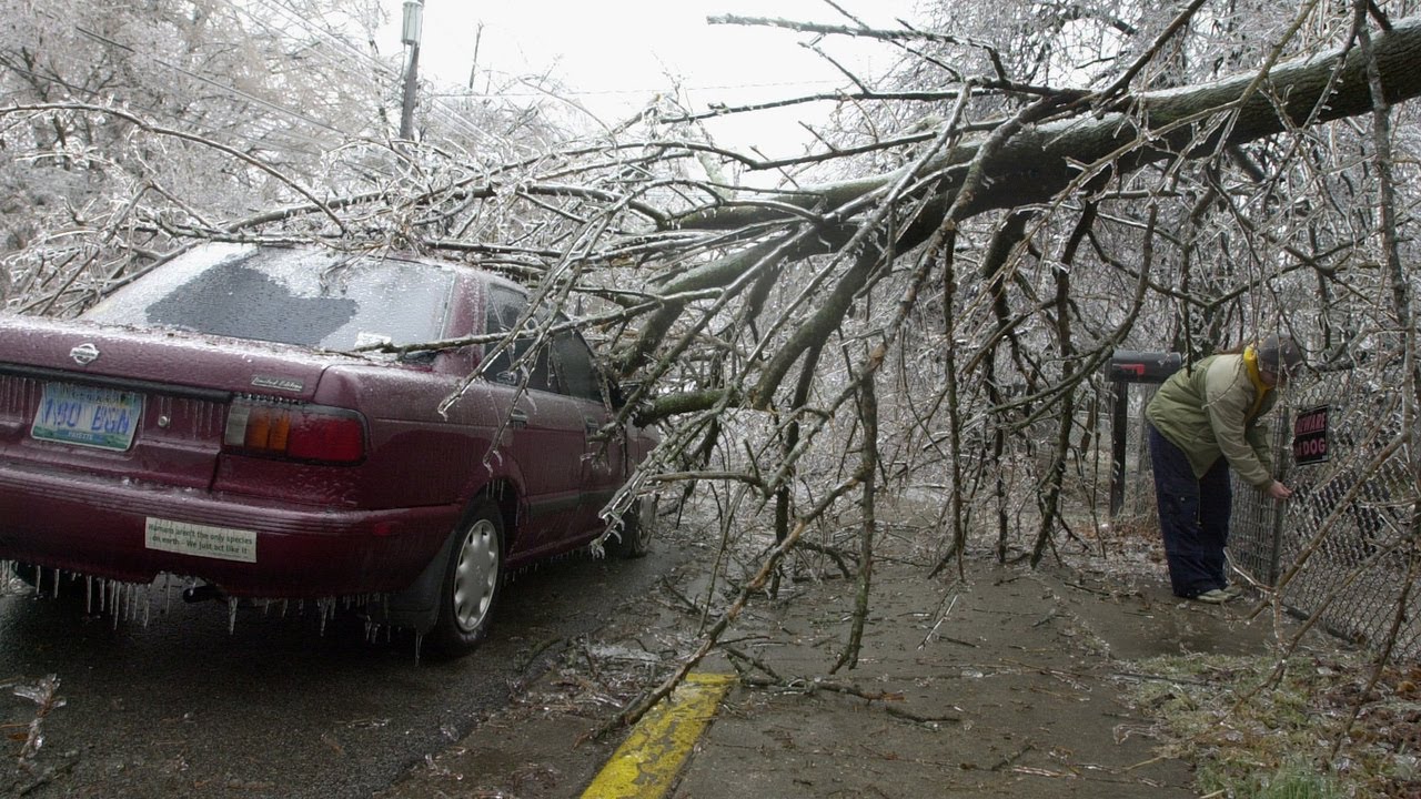 Lexington went frozen, trees fell and the power went out: The ice storm of 2003