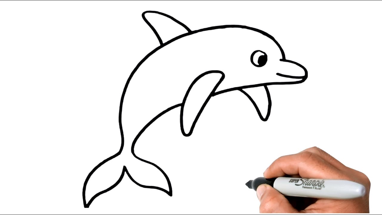 How to DRAW DOLPHIN EASY Step by Step