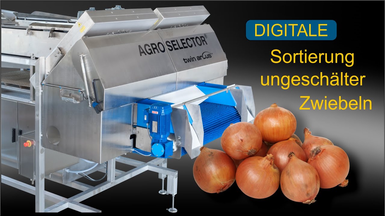 AGROSELECTOR Twin, Zwiebelsortierung