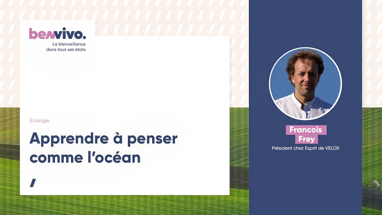 Apprendre à Penser comme l'Océan : Sagesse Naturelle & Leadership Fluide | Biomimétisme Management