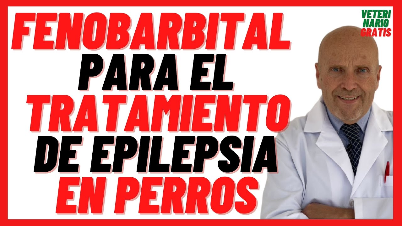 Fenobarbital para los Ataques Epil&eacute;pticos y Convulsiones 🔴 en Perros (Luminal, Gardenal) Dosis