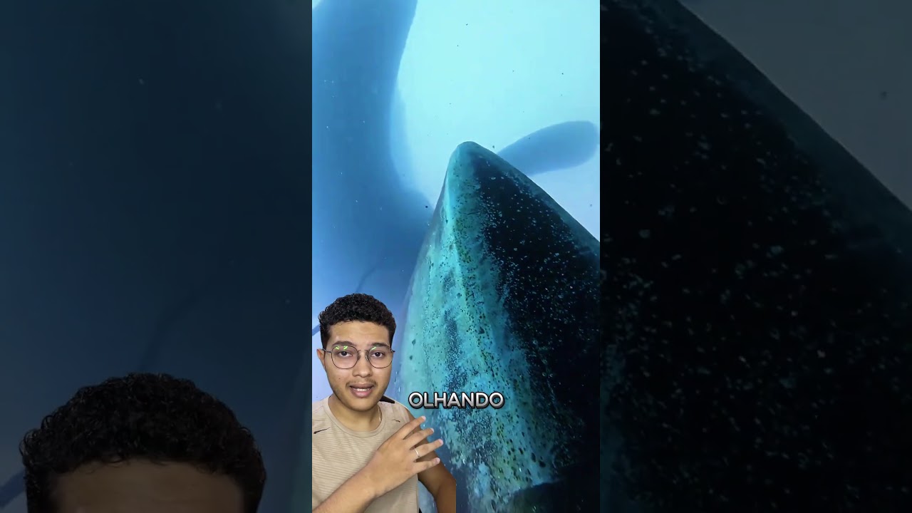 Limpar h&eacute;lices do navio &eacute; um emprego MUITO PERIGOSO #navio #mergulho #mar #trabalho #emprego