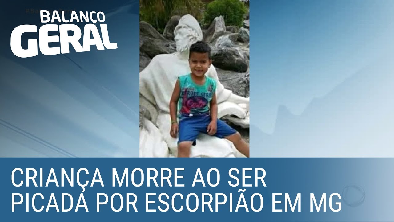Criança picada por escorpião morre por demora em tratamento