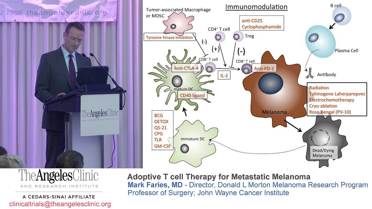 Adoptive T cell Therapy for Metastatic Melanoma