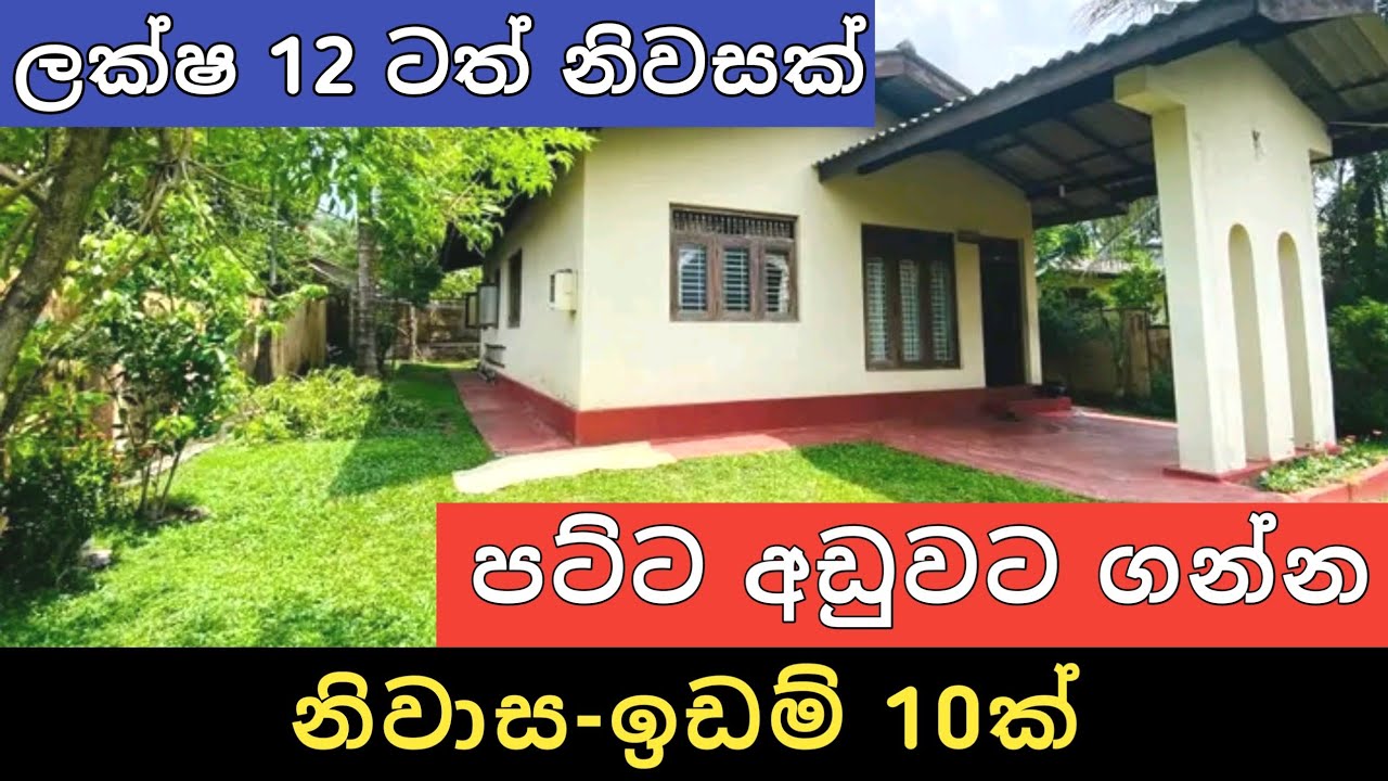 පට්ට අඩුවට නිවාස ඉඩම් 10ක් | Aduwata Idam Gewal | House for Sale | Land Sale | Ikman Selling 