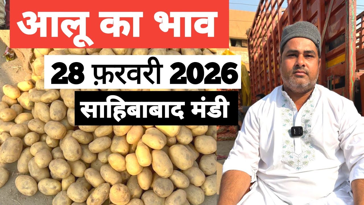 28 February 2026 🥔आलू का भाव साहिबाबाद मंडी | toady potato rates #aalubhav #potato #bharatkebazar