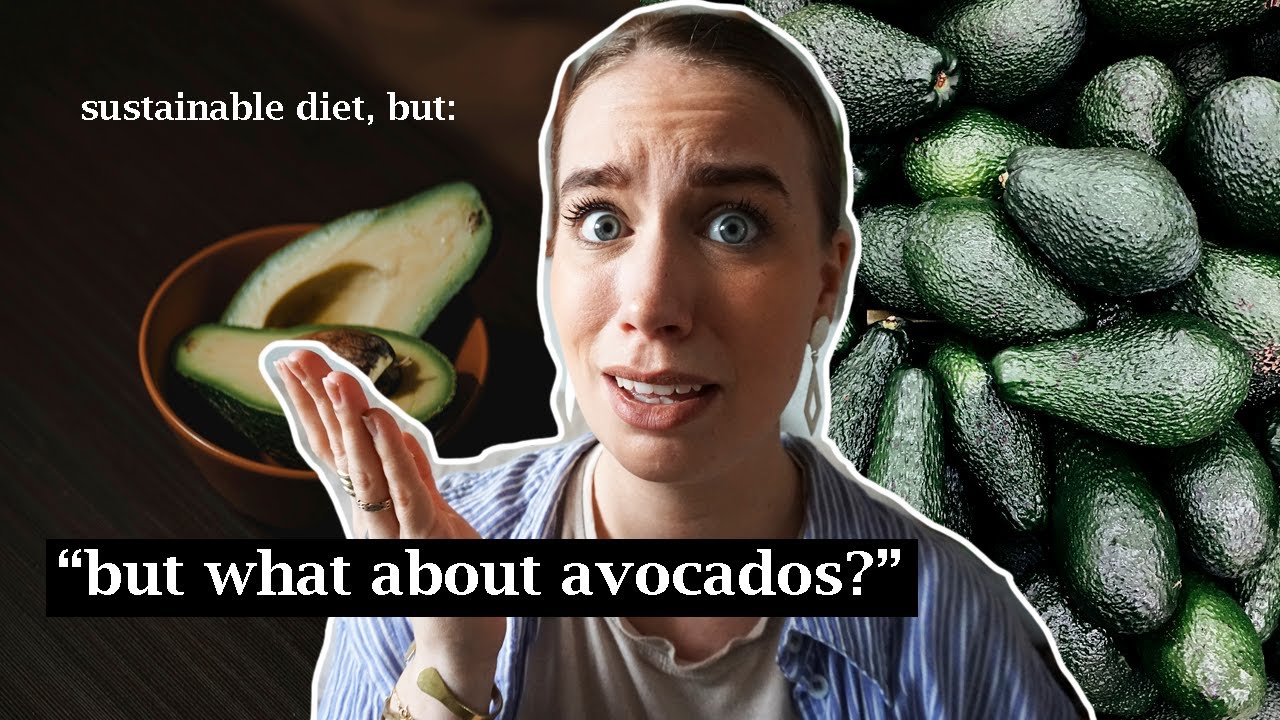 The Avocado “Myth // the environmental impact of our avocado obsession