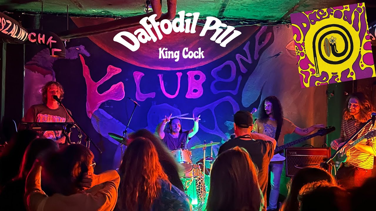 Get Ready to DISCOVER 🎶 🎸 🎹 Daffodil Pill "King Cock", Klub Szalonych