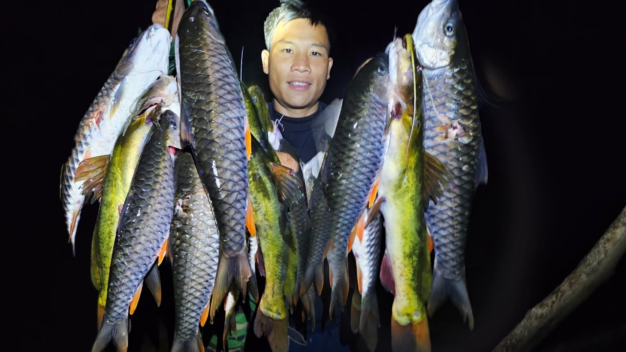 RỦ THÊM ĐỒNG ĐỘI TRỞ LẠI DÒNG SUỐI TRONG RỪNG SÂU THU PHỤC LOÀI CÁ RỪNG HOANG DÃ !