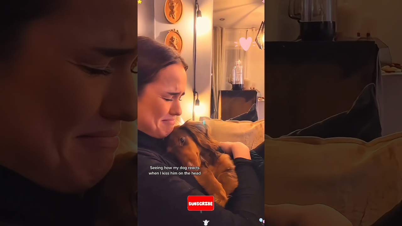 Ваша собака не разговаривает, но она говорит: «Я люблю тебя вот так» 🐶❤️🐾