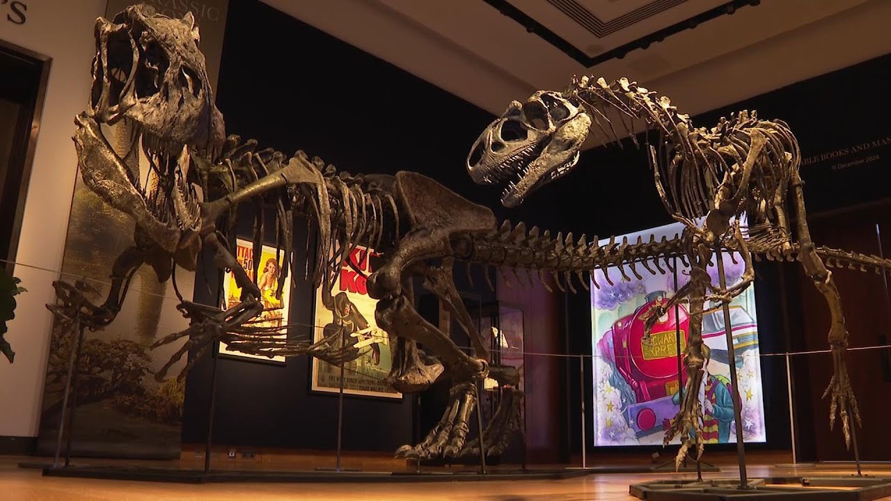 Fancy a dinosaur for Christmas? Allosaurus & Stegosaurus fossils go up for auction