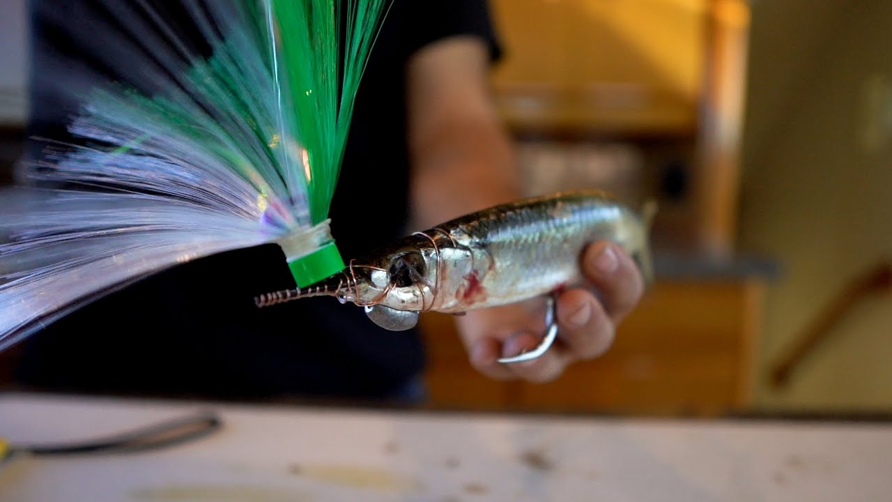 How to Split Bill Rig a Ballyhoo | Wolfpack Tackle