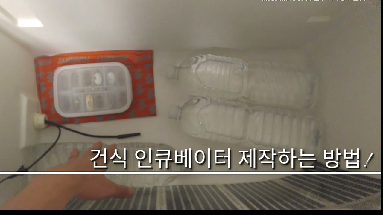 파충류 건식 인큐베이터 제작하기!