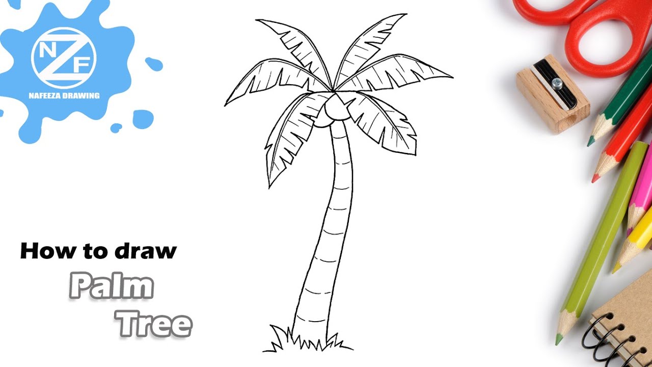 How to draw Palm Tree