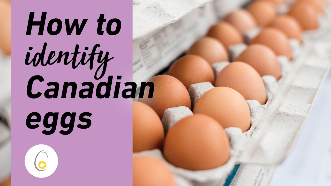 How to identify Canadian eggs