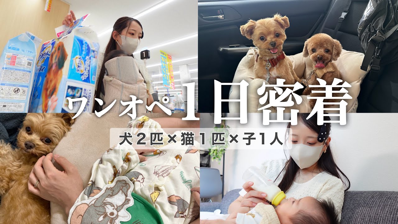 【悲劇】３ヶ月ぶりに家に帰ったら家が大変な事に…
