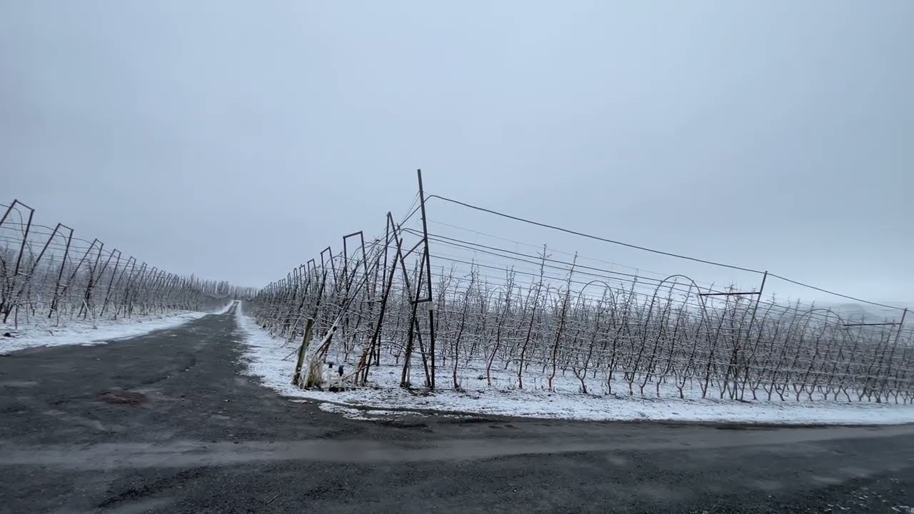 Estamos finales de febrero, mis amigos y todavía no sigue cayendo la nieve ￼