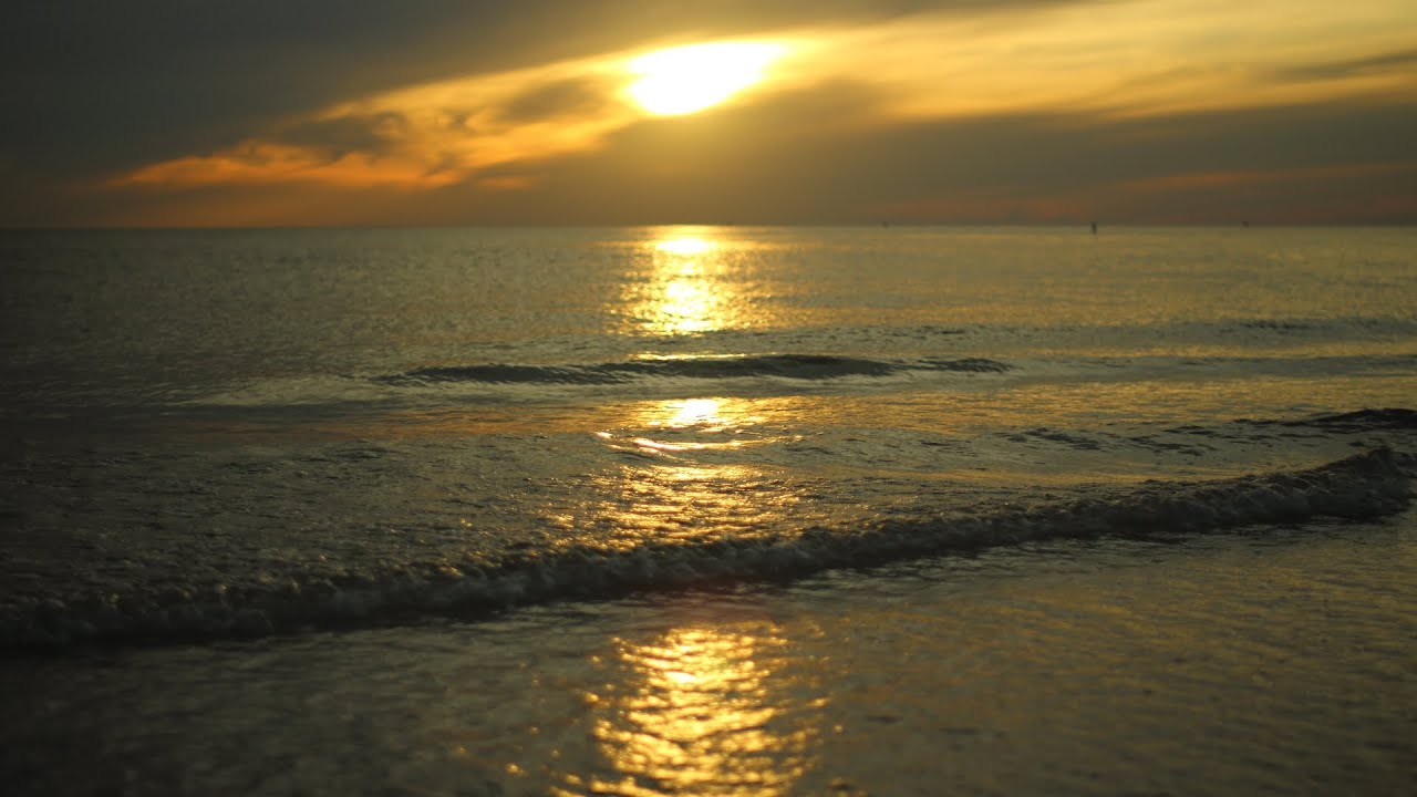 Canon EOS Rebel SL1 and Rokinon 35mm T1.5 Cine Lens Video Test