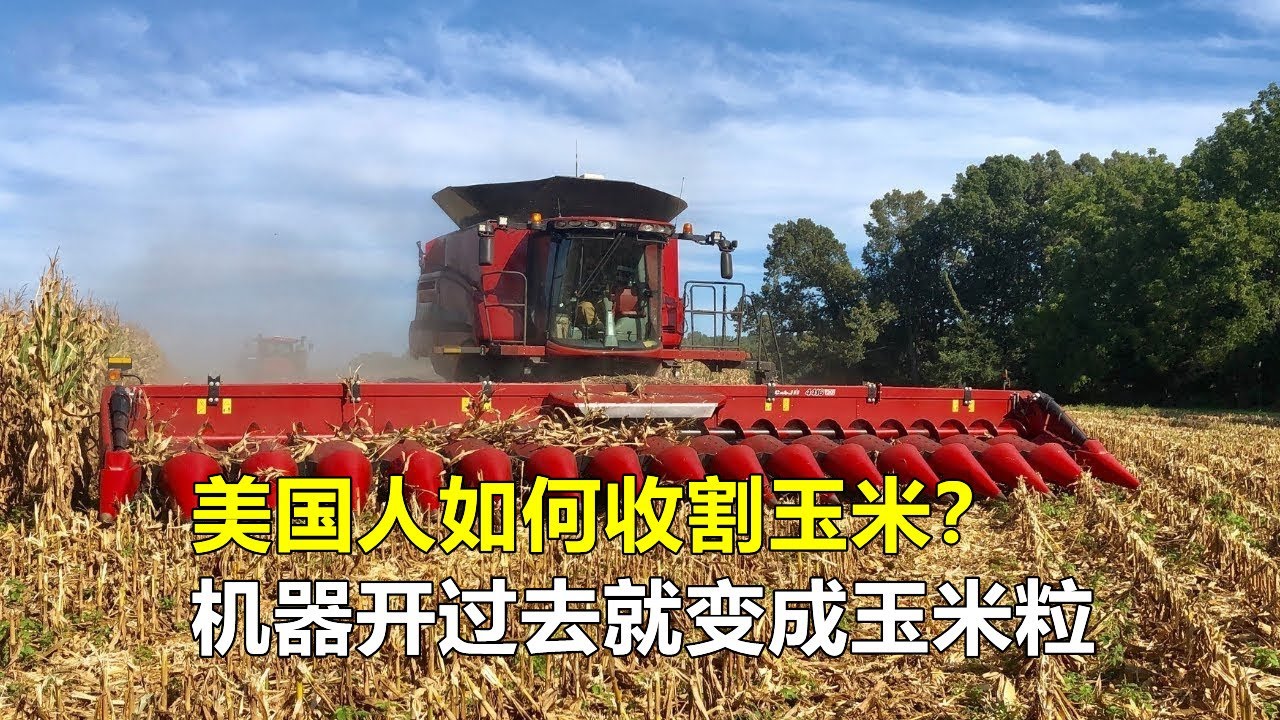 美国人收割玉米，机器开过去就变成玉米粒，真正的农业现代化！