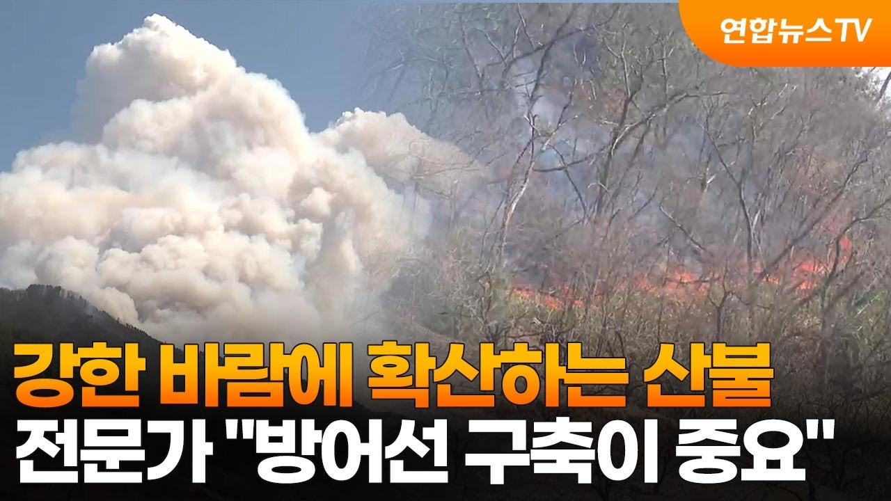 [토요와이드] 강한 바람에 확산하는 산불…전문가 