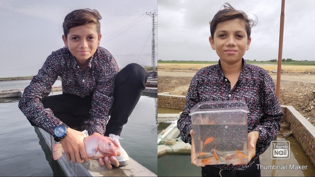 Visiting fish farm🐠🐟 thatta 