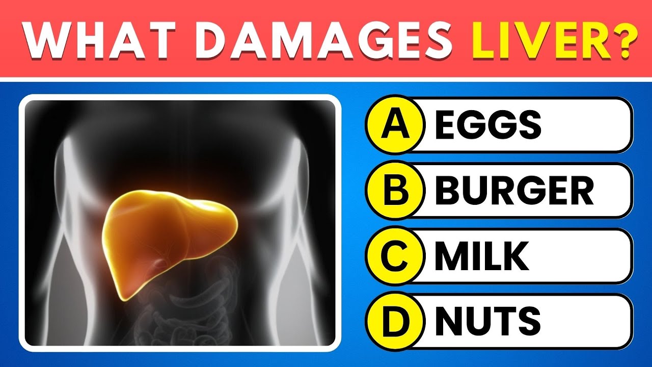 Can You Pass This Human Body Quiz? 🧠 50 Anatomy Questions! 📚