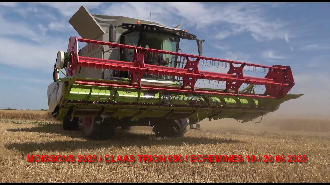 MOISSONS 2025 / CLAAS TRION 650 /ECHEMINES /AUBE /20 06 2025 /