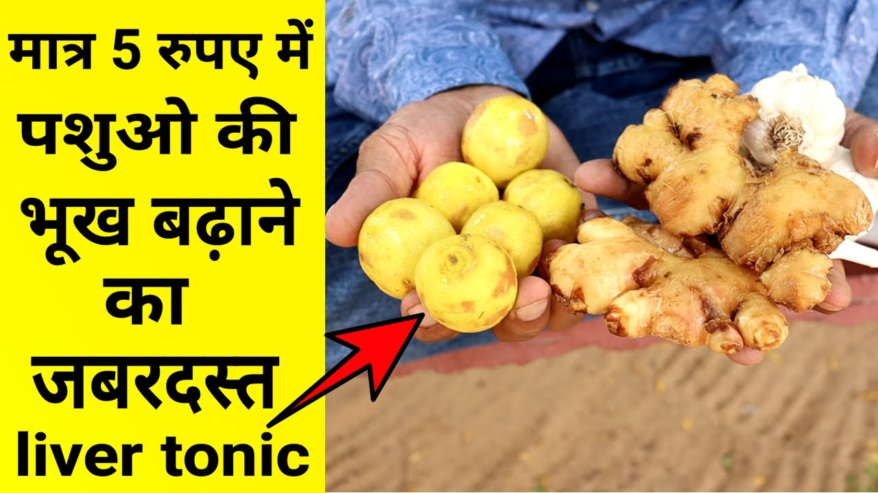 मात्र ₹5 में घर पर तैयार करें,गाय भैंस बकरी की भूख बढ़ाने वाला जबरदस्त #livertonic👍| #vickypansari