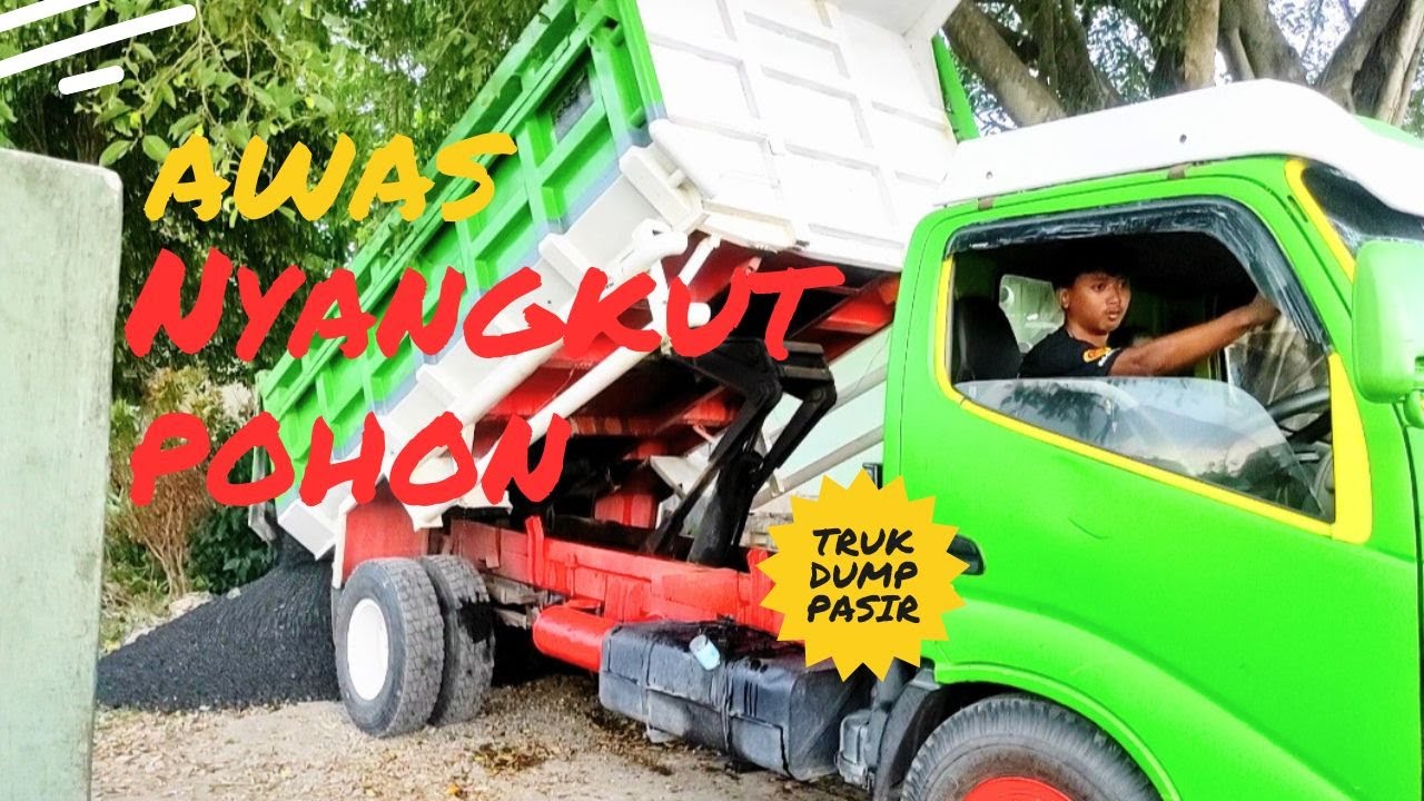 SUPIR PEMBERANI Truk Dump Muatan Pasir Hampir NYANGKUT POHON BERINGIN Saat Bongkar Muatan