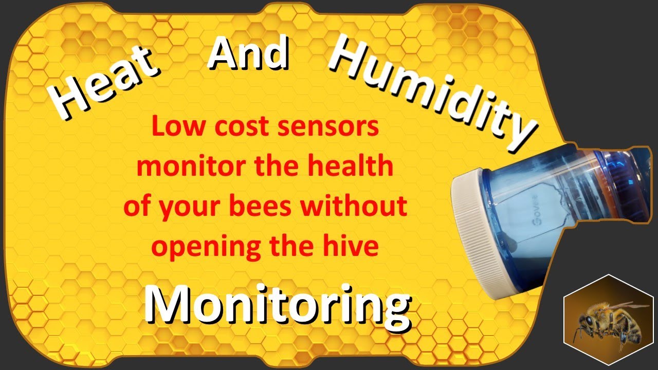 Beginning Beekeeping | Temperature Monitoring | Round Bottle Construction Pt.7