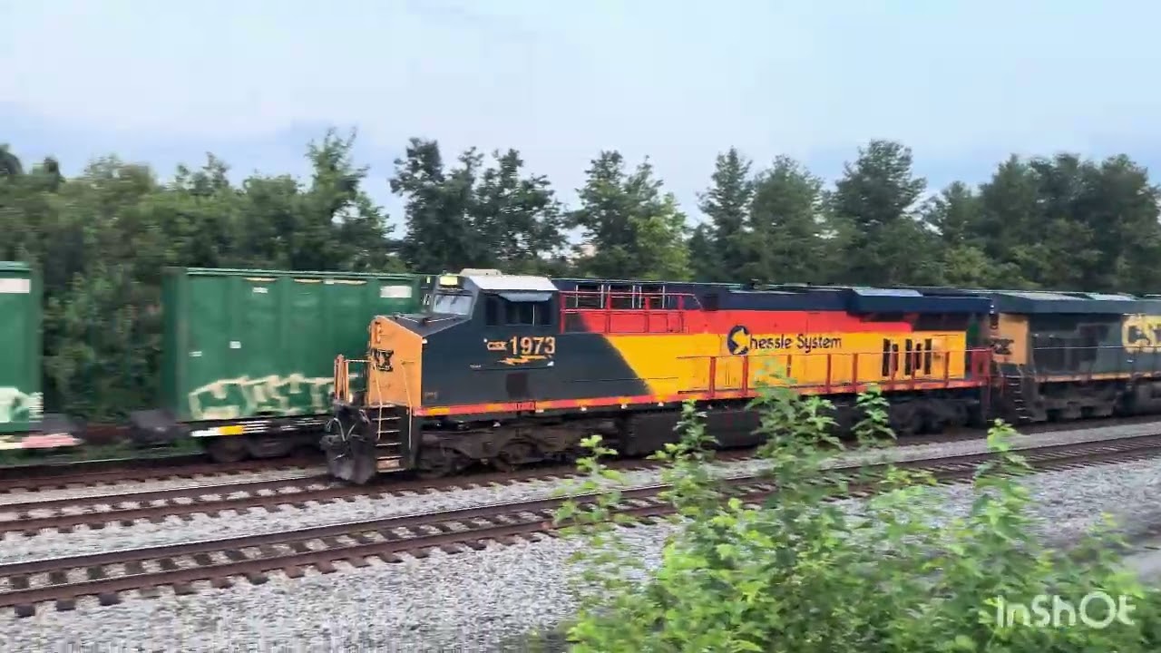 Train Spotting in Potomac Yard Park 2025 #16