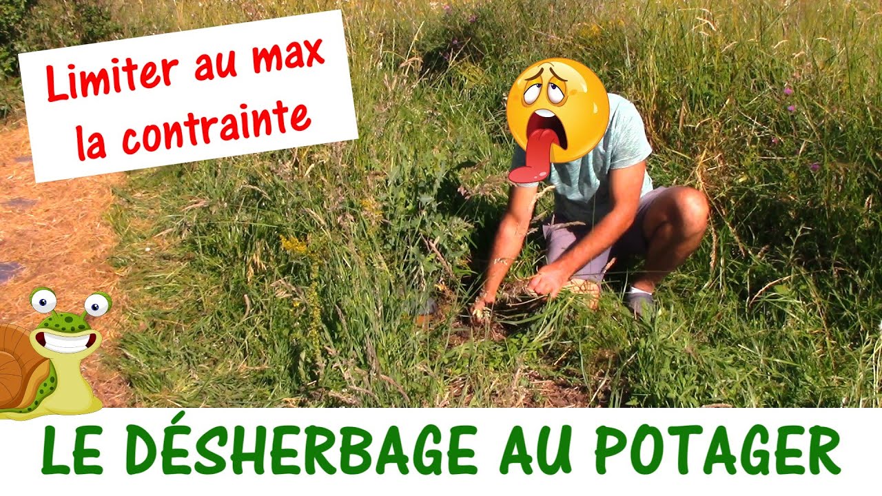 LE DÉSHERBAGE AU POTAGER / limiter la contrainte