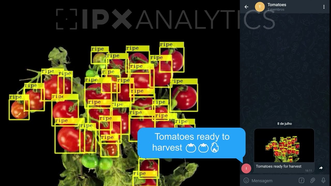 IPXAnalytics - Example of AI for Plantations